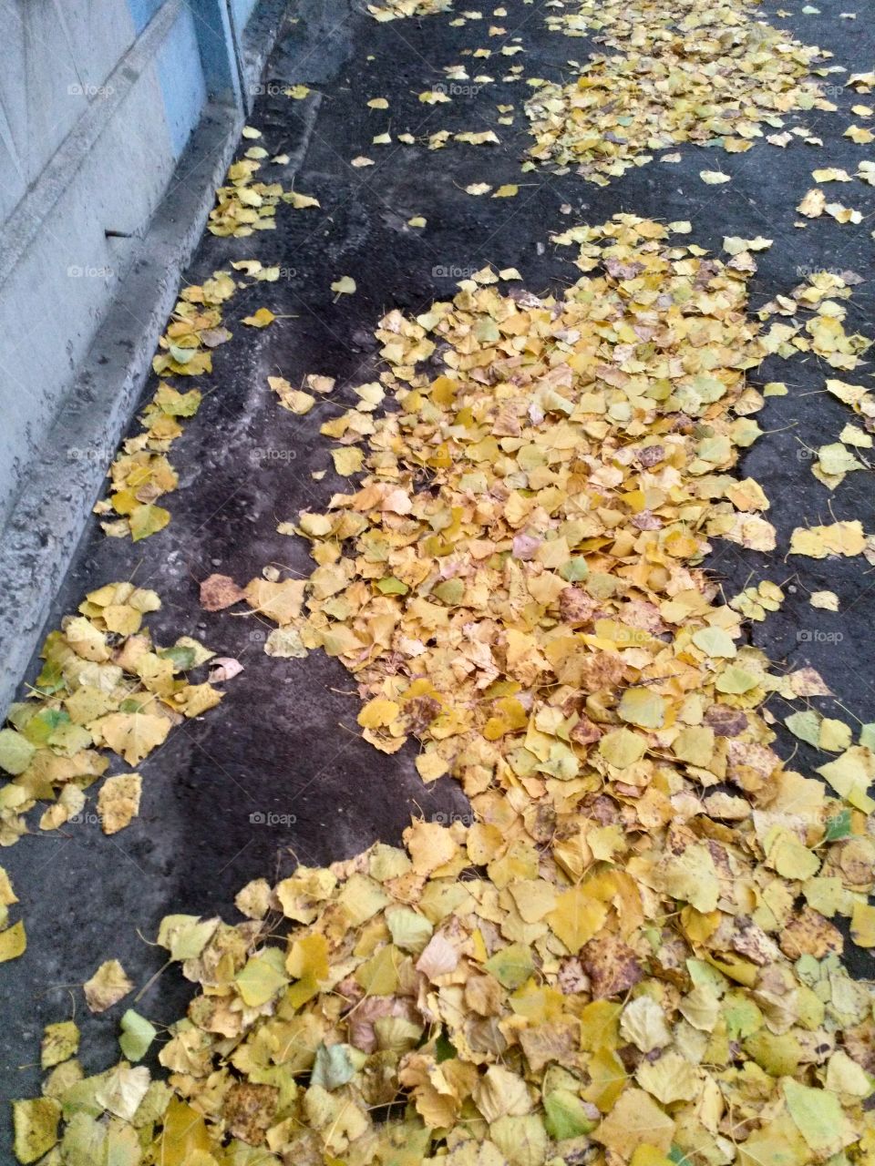 Поздняя осень.