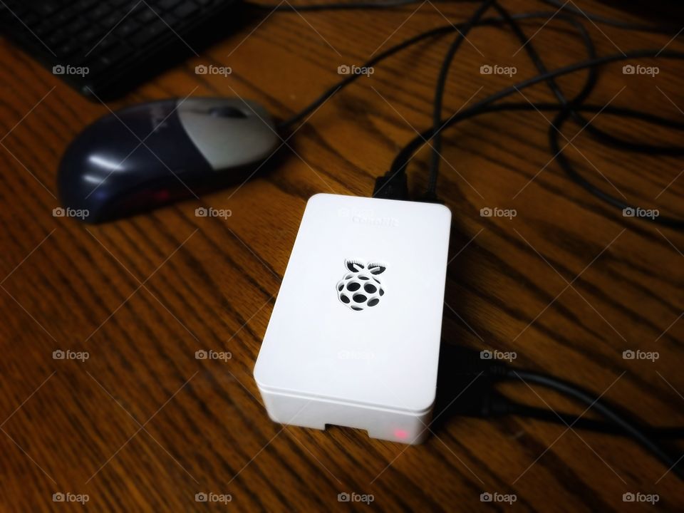 White Raspberry Pi