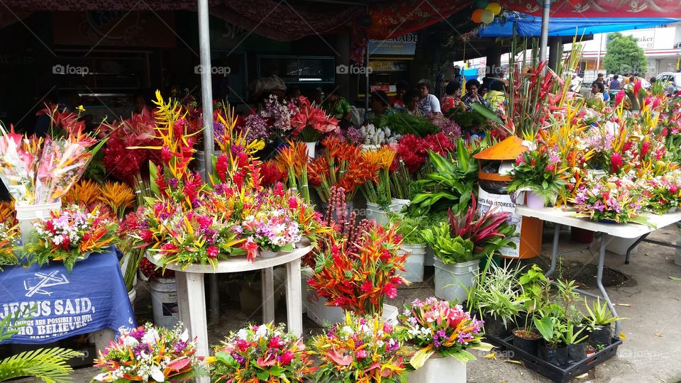Suva Flower Markets Fiji