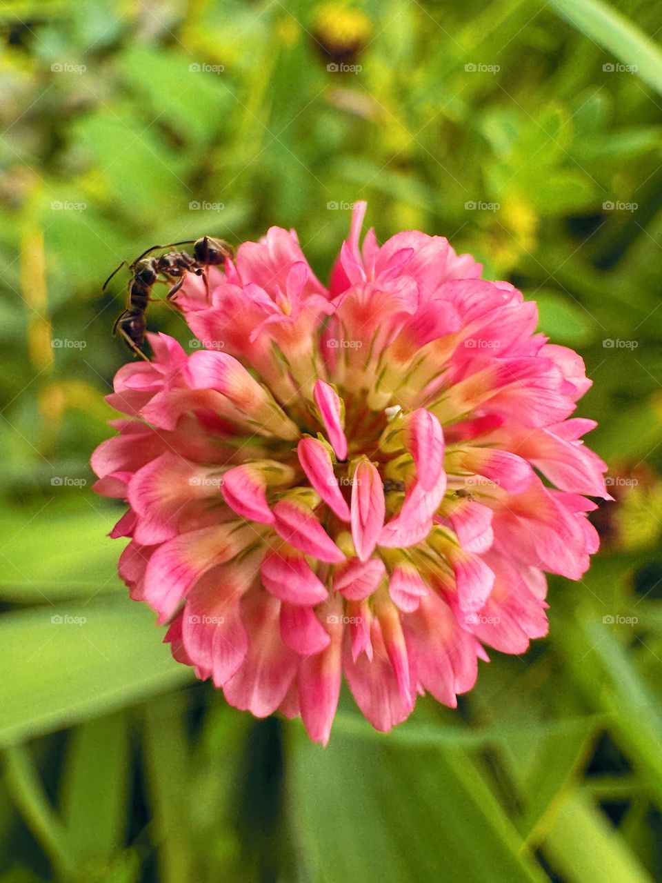 Time of warmth and tenderness…