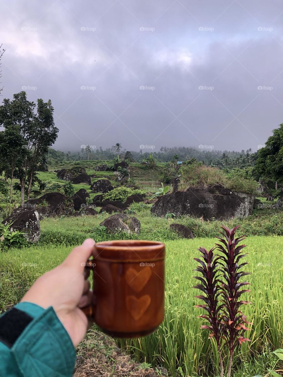Coffee+nature