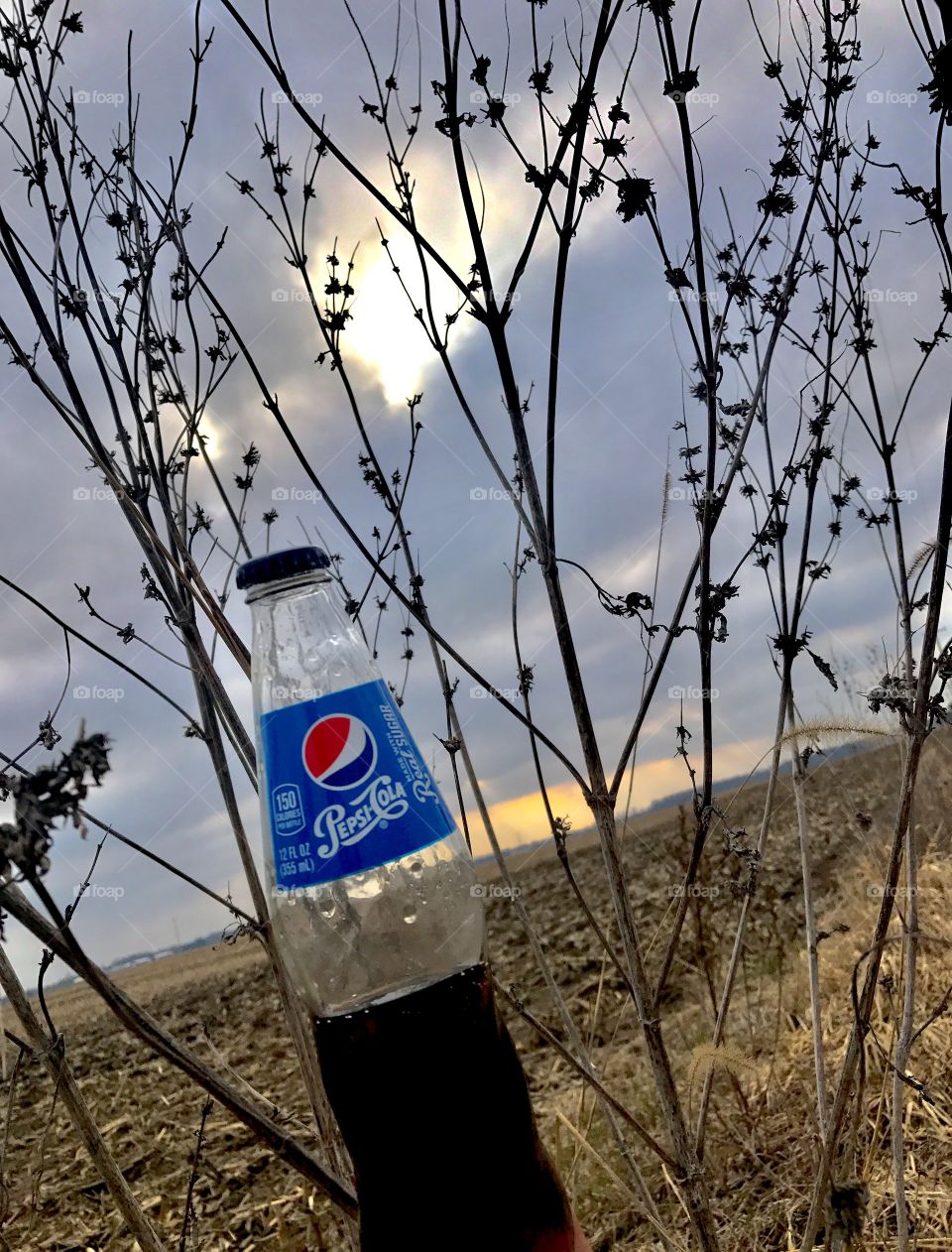 Pepsi mission 