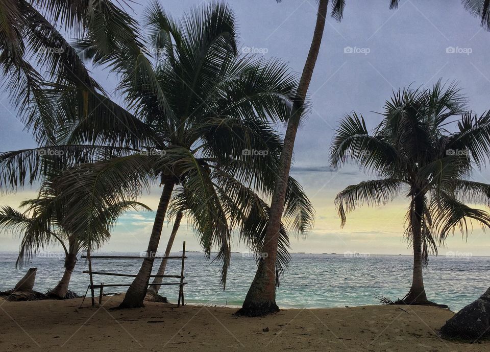 Beach, Sand, Tropical, Seashore, Palm