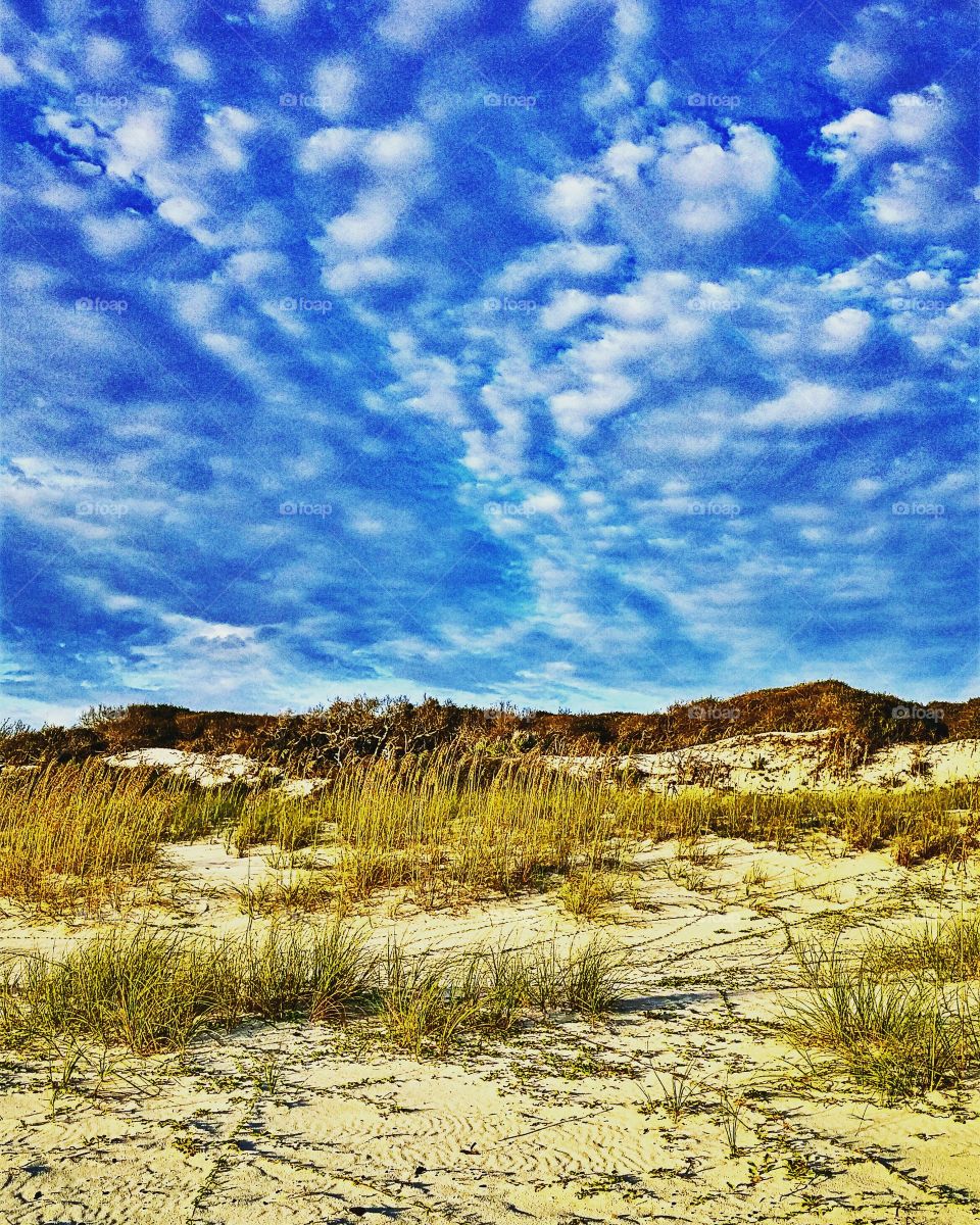 Sandy Dunes