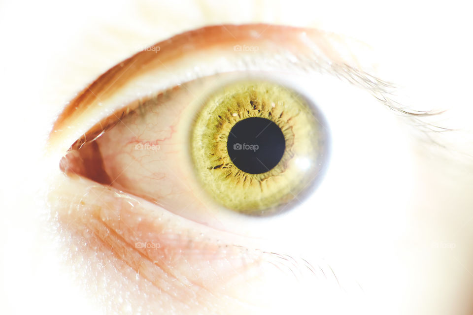 Beautiful and detailed close-up of a light green eye.