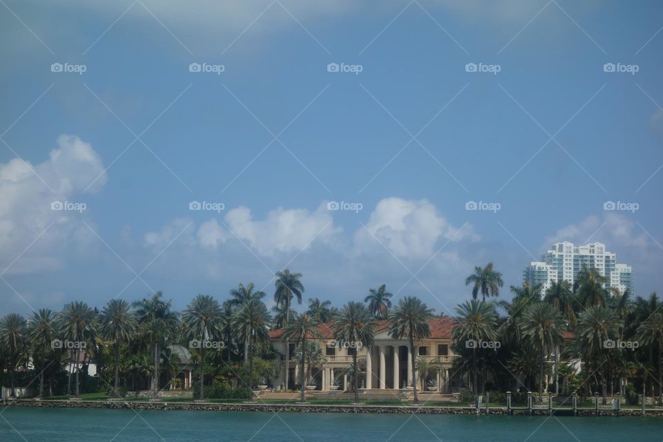 Miami Beach - urban nature