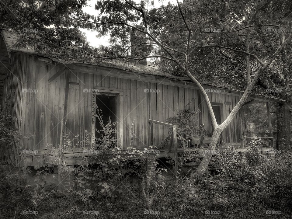 Yesterday’s Beauty #3