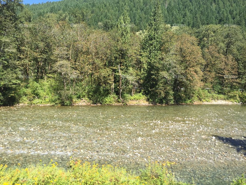 Water, Landscape, Wood, Nature, River