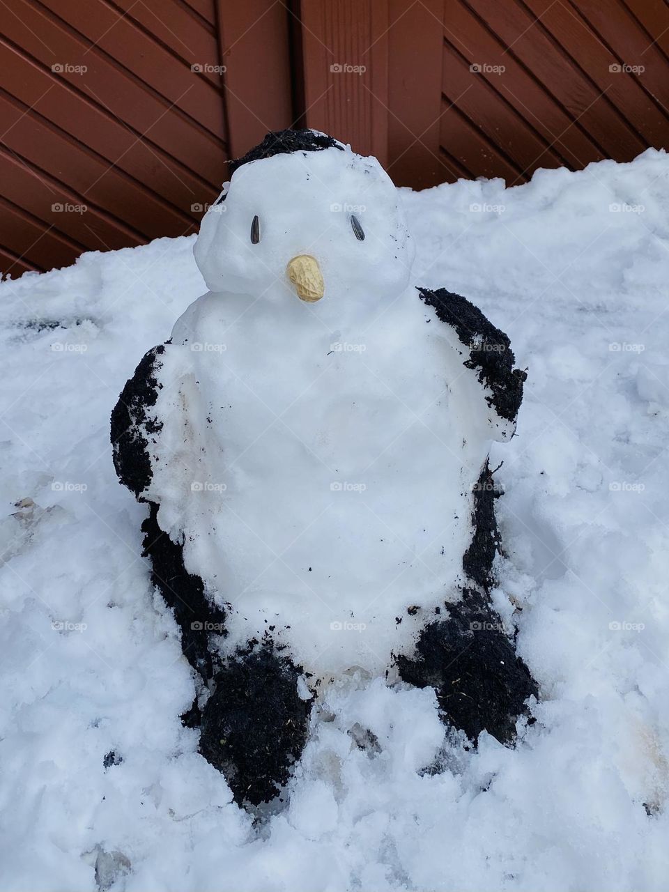 Snow Pinguin 