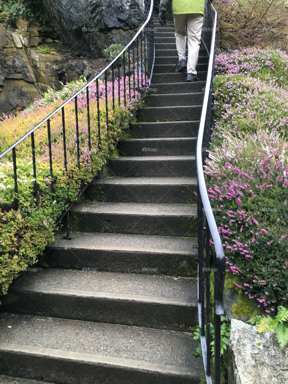 Flowery stairs