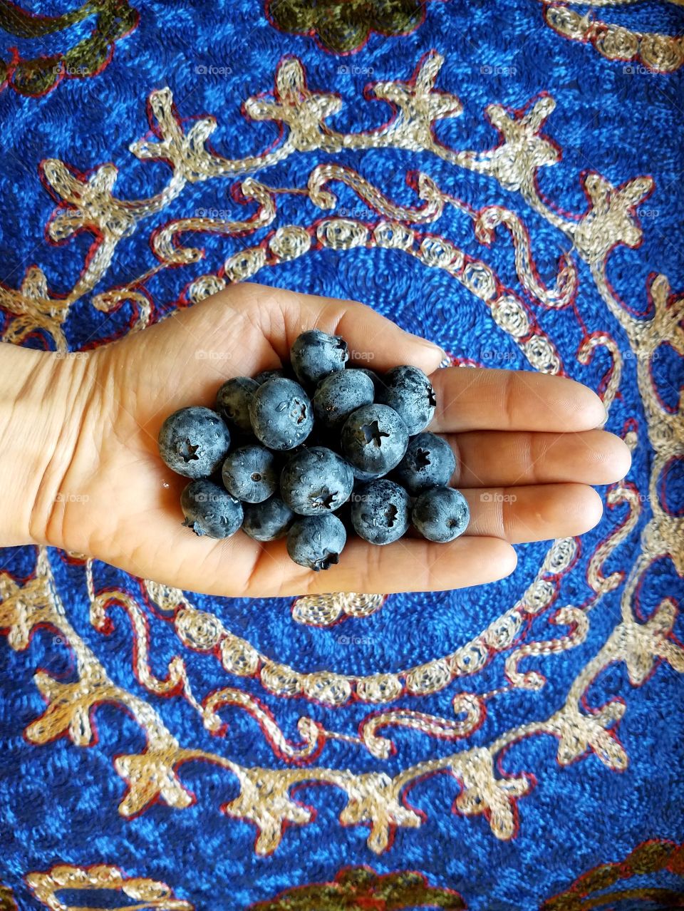 Holding blueberries