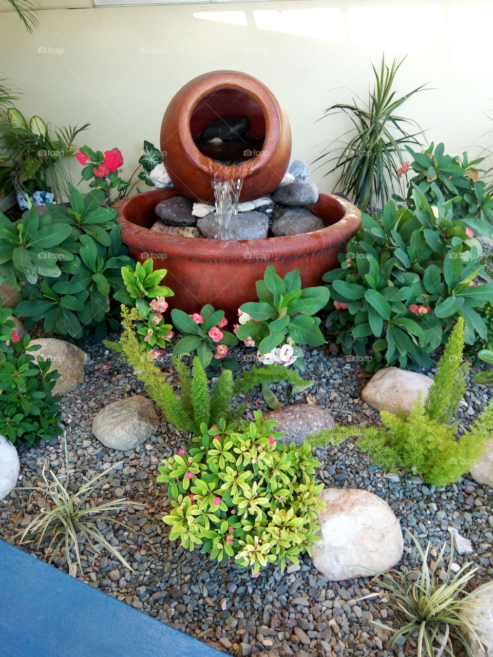 Garden, Pot, Flora, Flower, Leaf