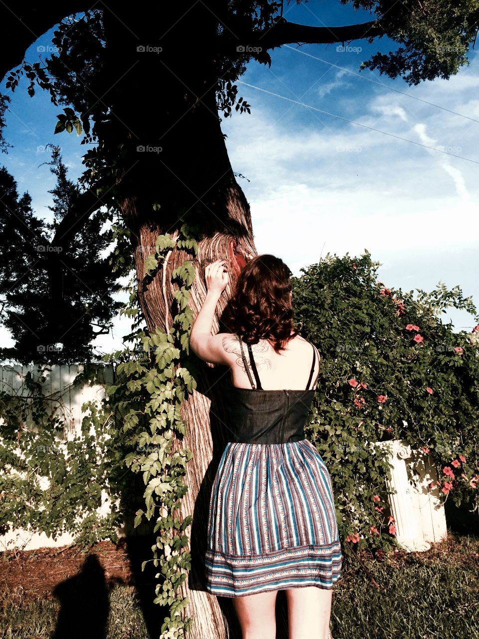 Curls and tree