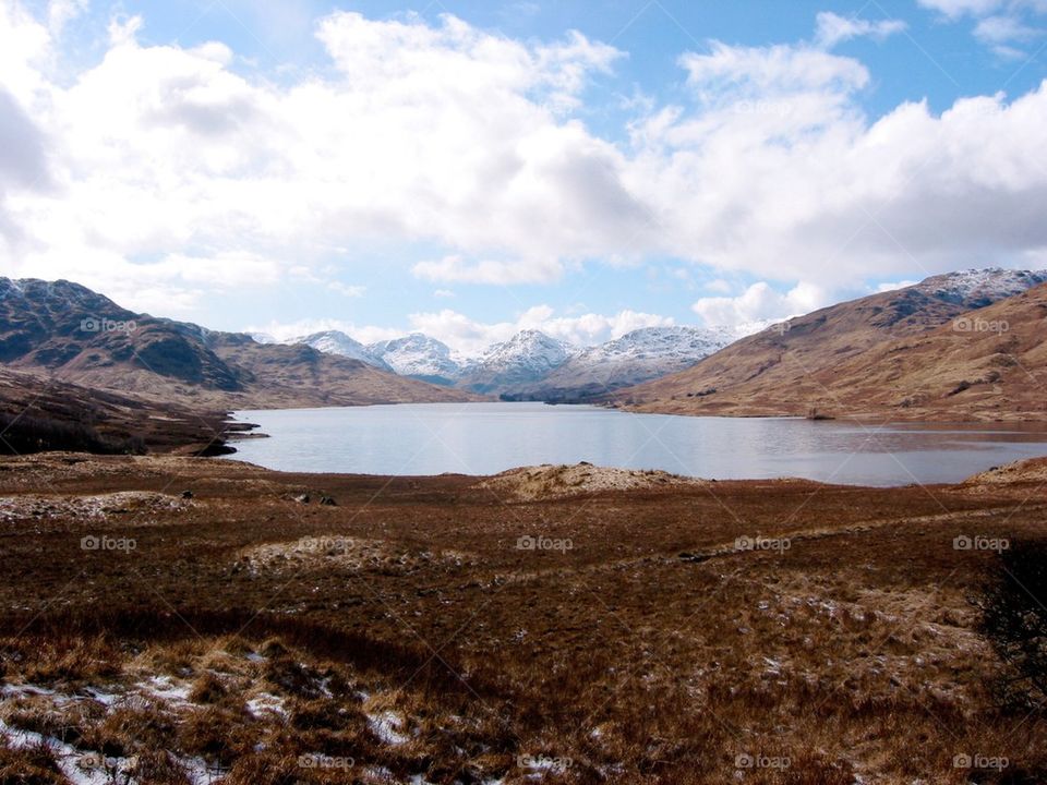 Queen Elizabeth park