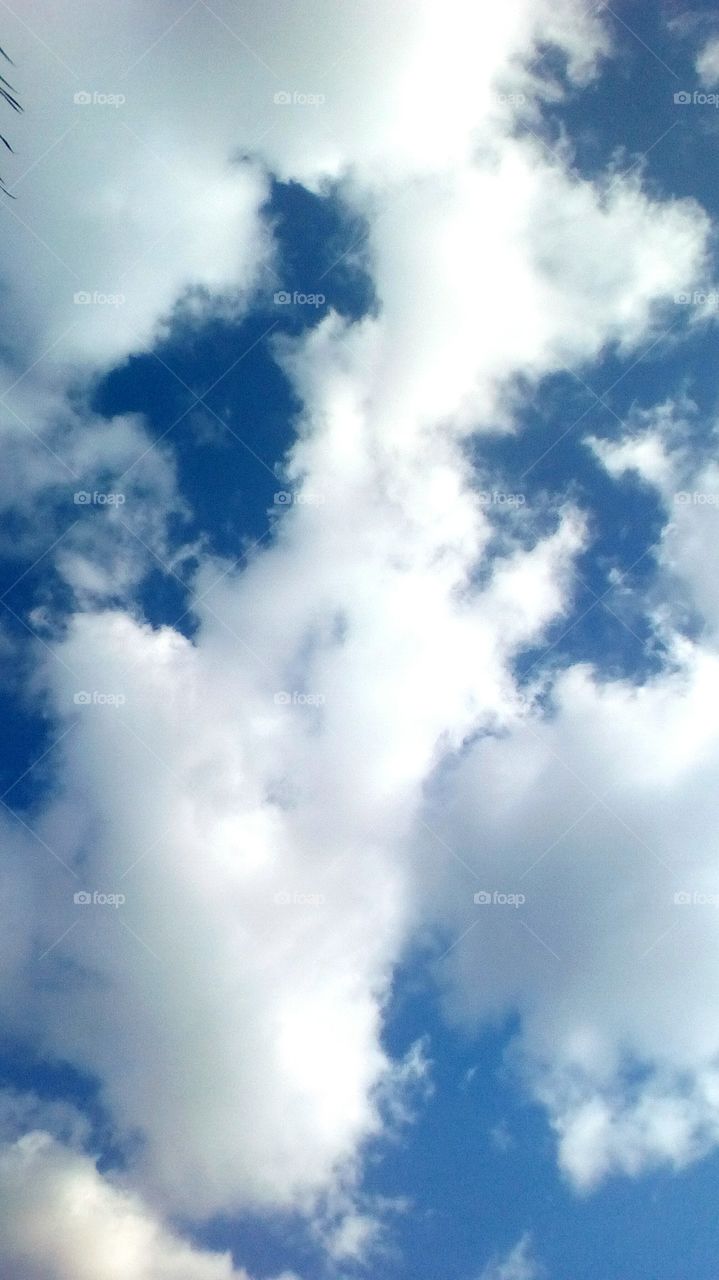 sky in beautiful day