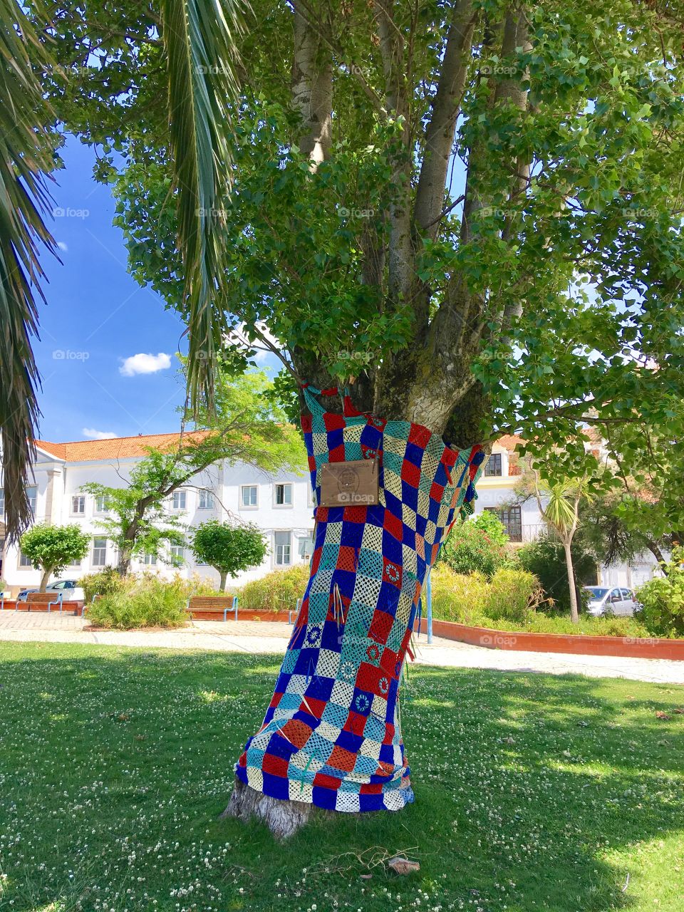 Tree with cloth 