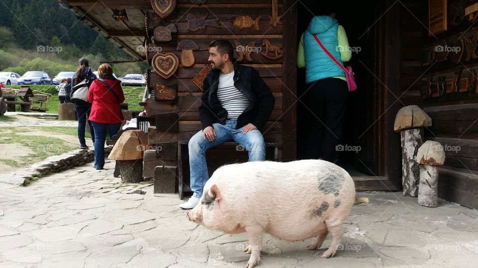 Man & pig