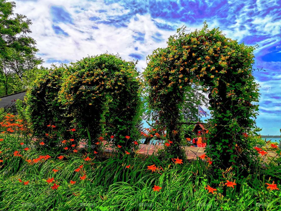 Outdoor nature greens wild street day sun bush sky clouds moody nature greenery flower plant