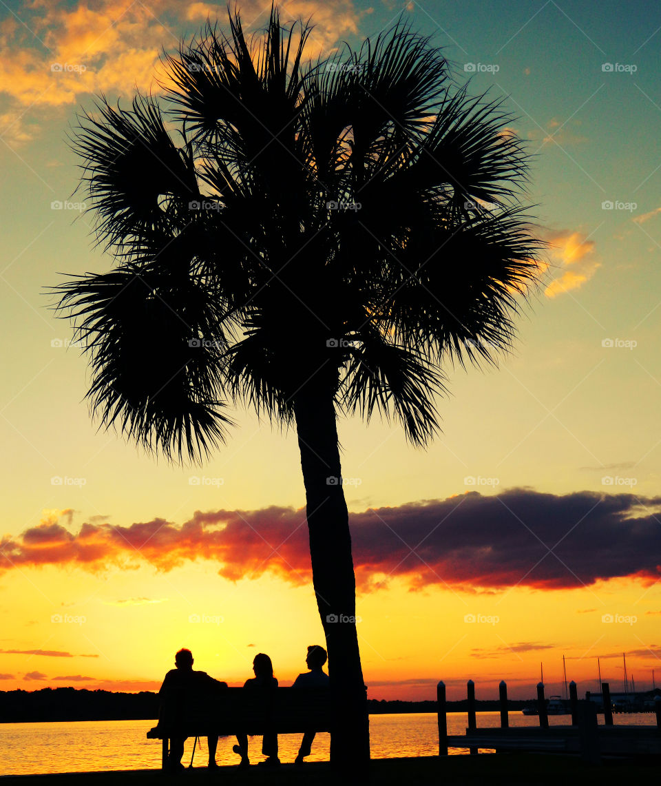 Incredible Sunset! There is nothing as diverse as nature itself. It is a beautiful place; and it is everywhere. I am a haunter of nature who loves its beauty and solitude. Take a deep breath, relax, open your eyes, and enjoy the ride through my beautiful world of nature!