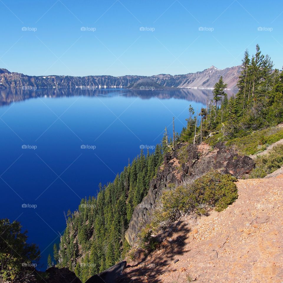 The rugged tree covered slopes of the rim of Crater Lake in Southern Oregon on a sunny and clear summer morning. 