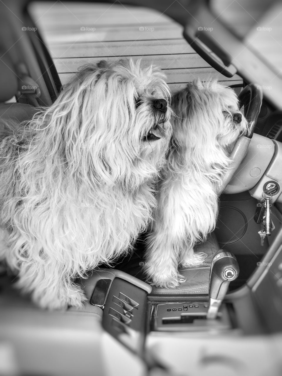 Waiting for a car ride 