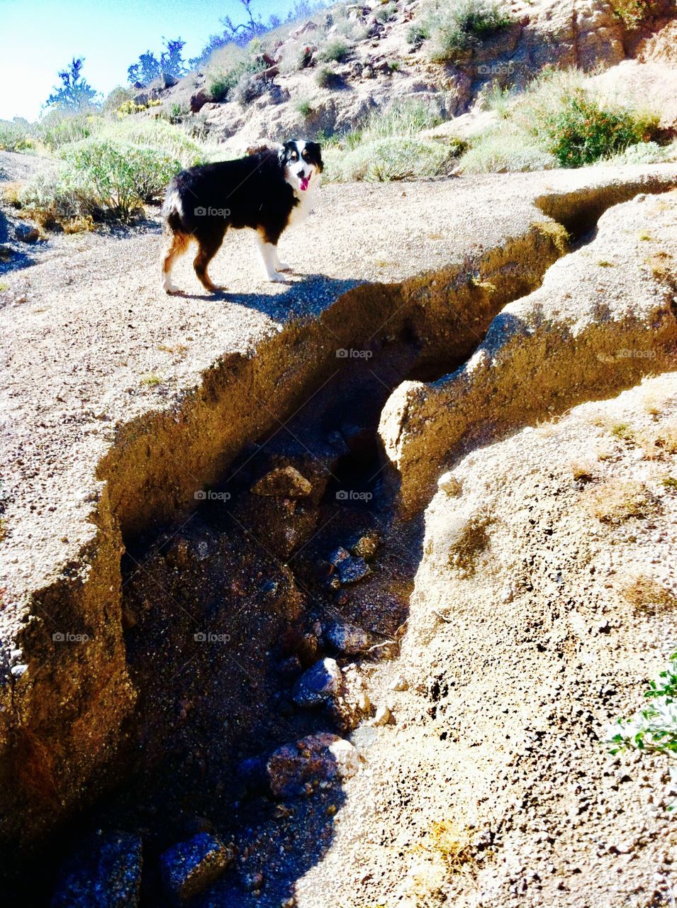 Mountain cracks