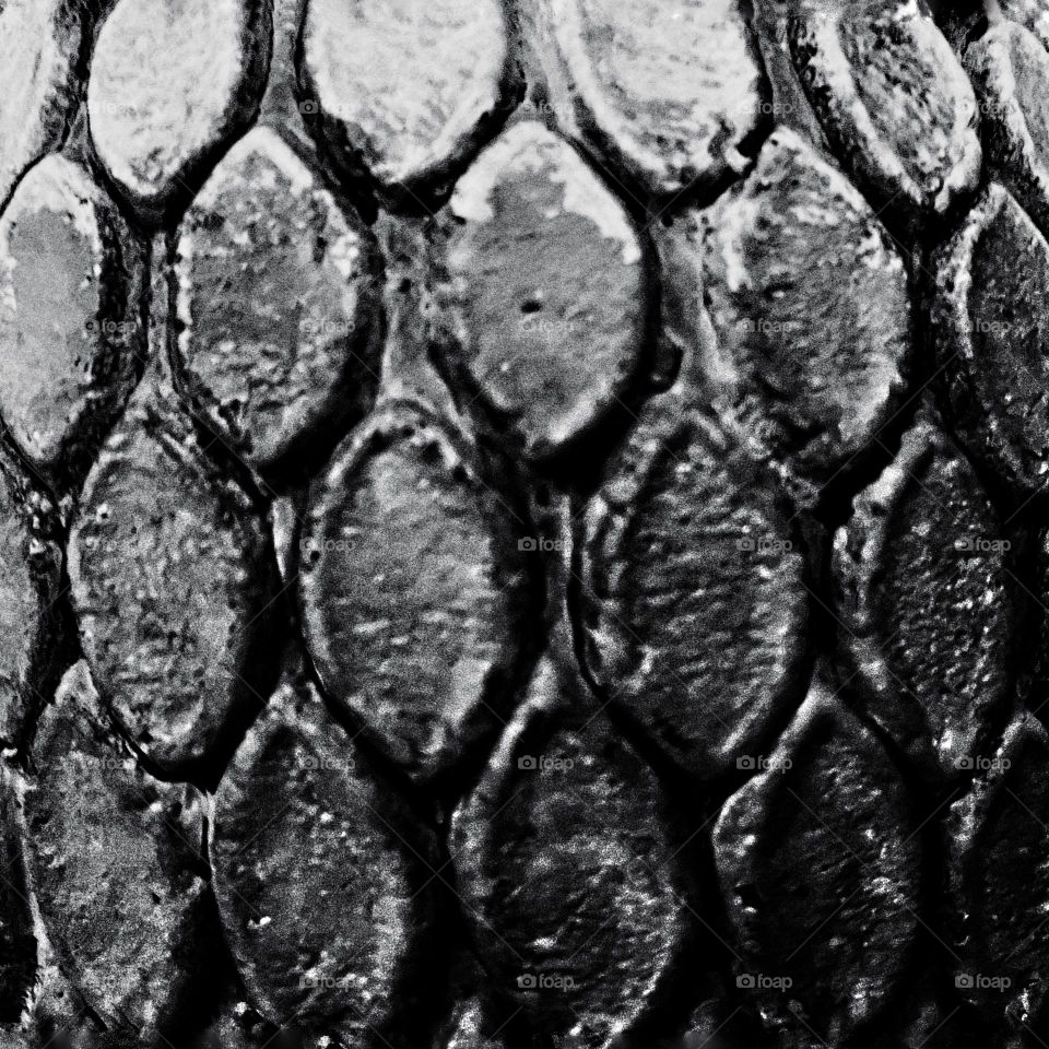 Black and white rough textured surface with a scale-like appearance