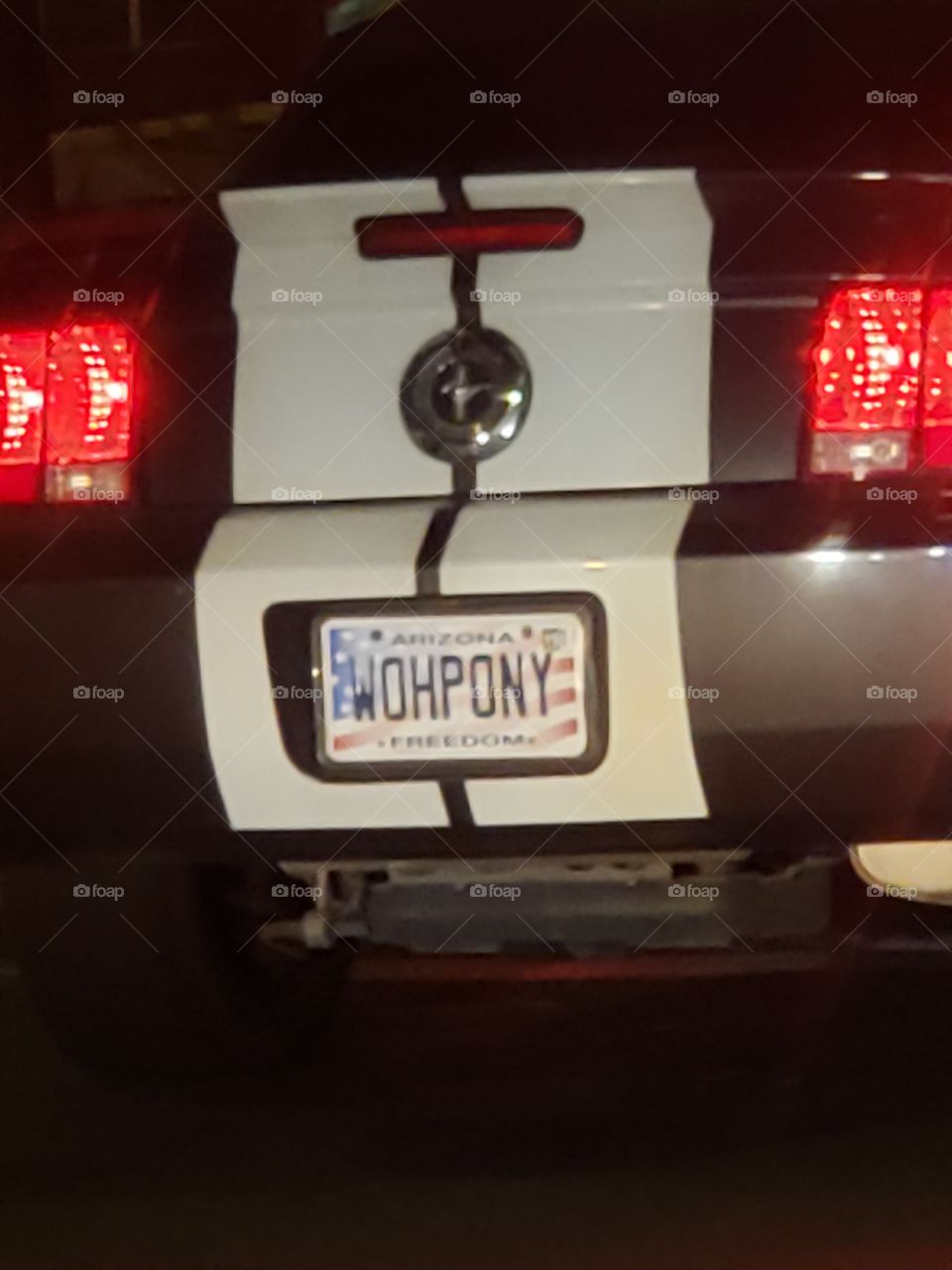 "woh pony on this plate.. saw this mustang and got a kick out of the plat..  crack me up..