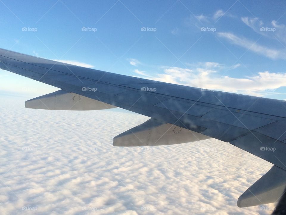 Above the Clouds 