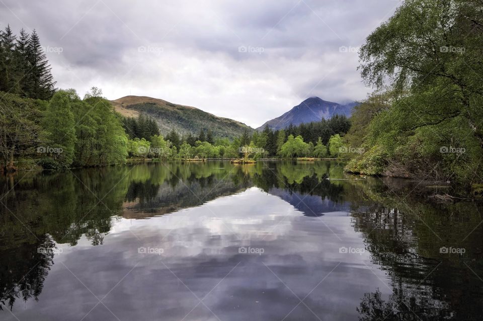 Reflection of trees in lake