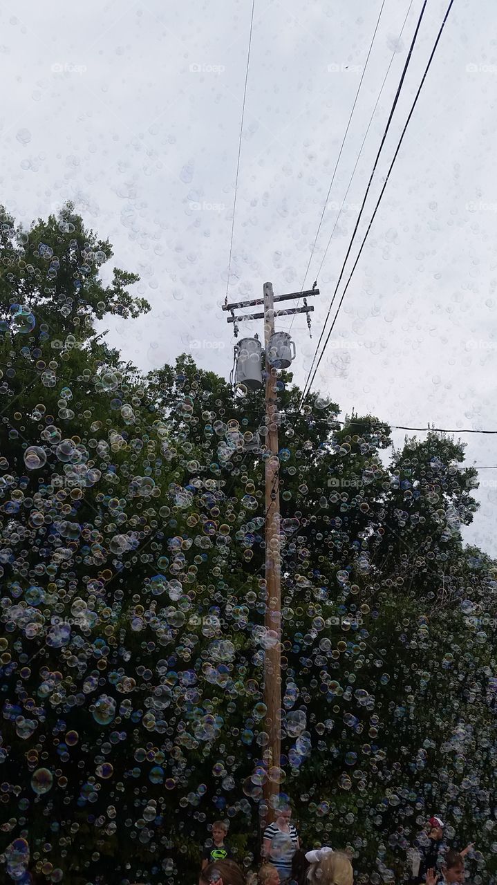 bubbles bubbles bubbles