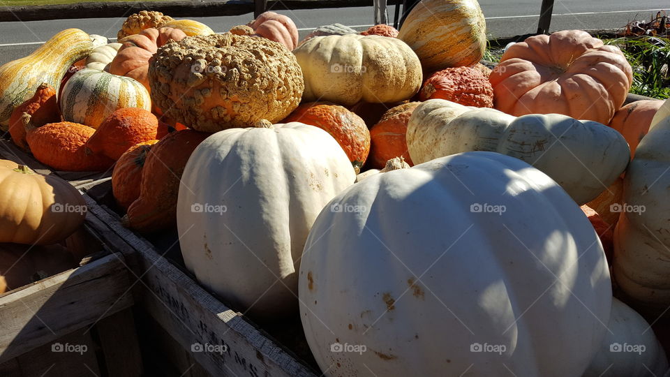 Pumpkins