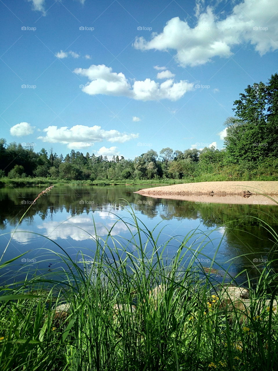 "As long as you're green, you're growing. As soon as you're ripe, you start to rot."
- Ray Kroc