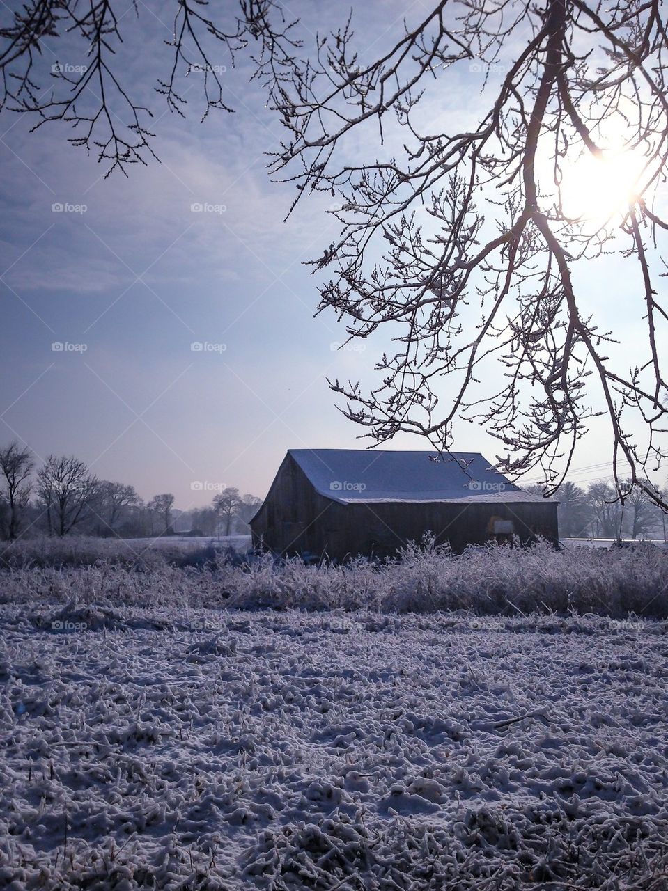 Barn in winter