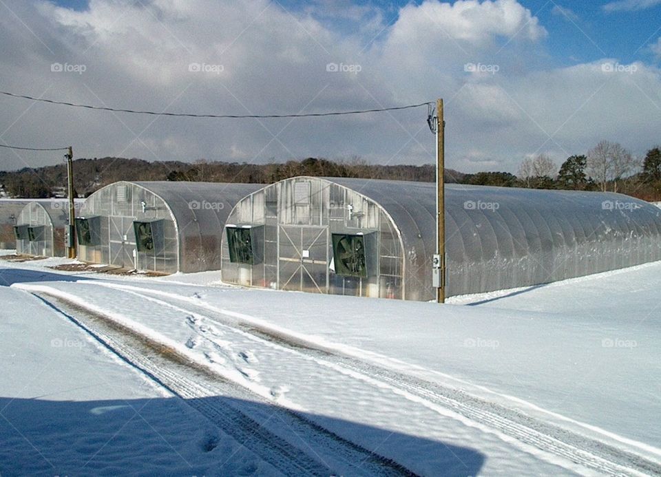 Greenhouses at the University of Tennessee Knoxville