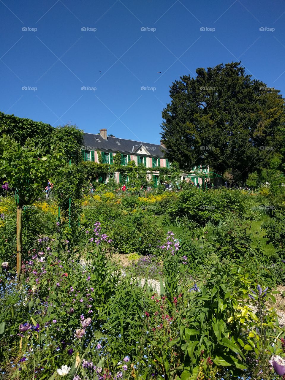 Monet's house and garden in Giverny, France