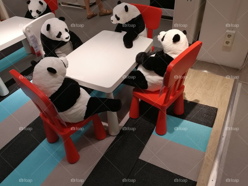Panda breakfast