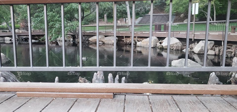 peer through the gate