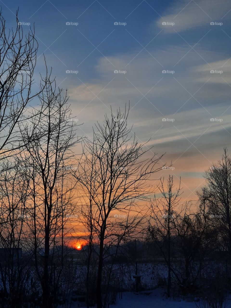 winter garden - orange sunrise with beautiful sky