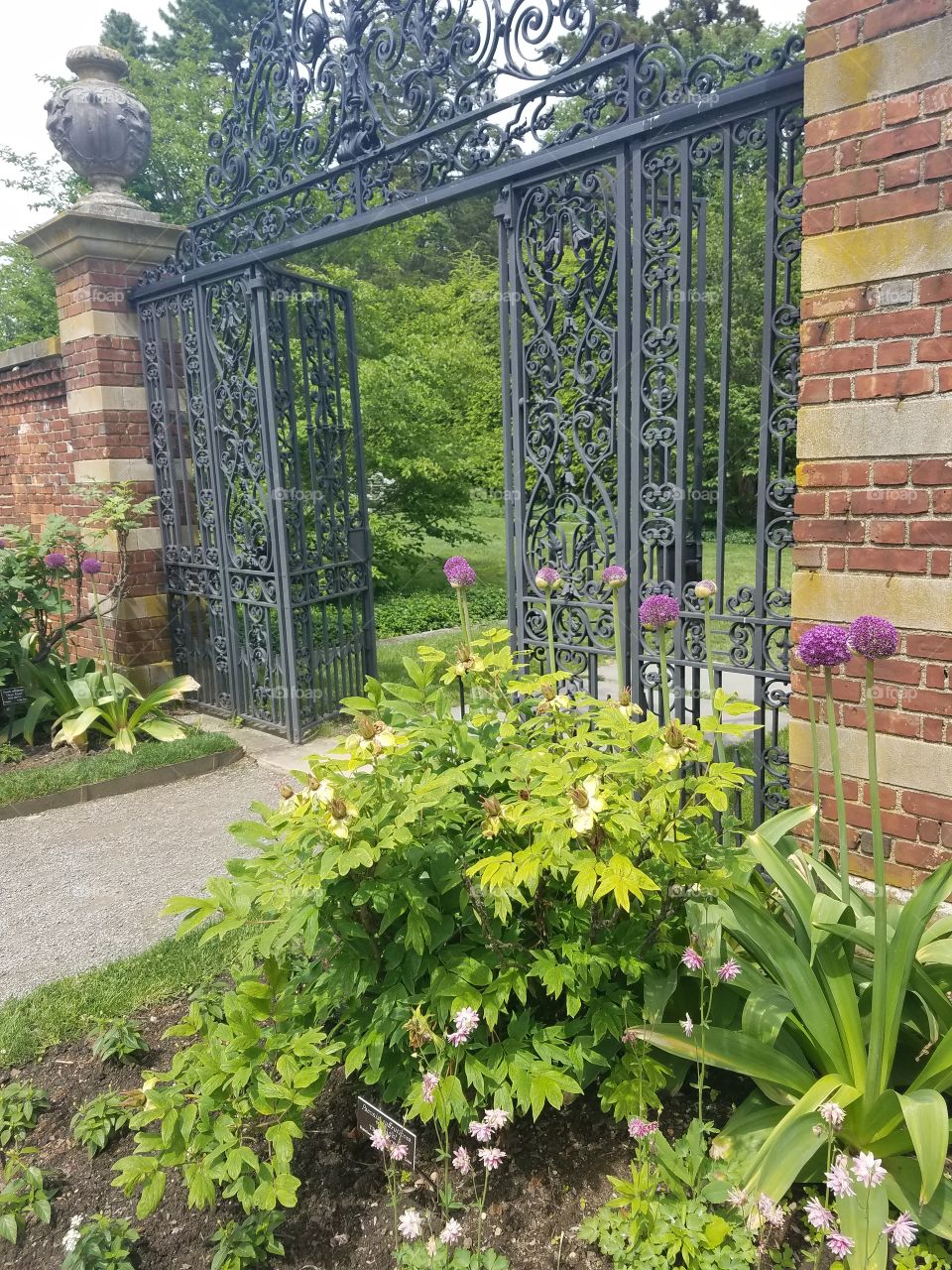 Garden, No Person, Flower, Summer, House