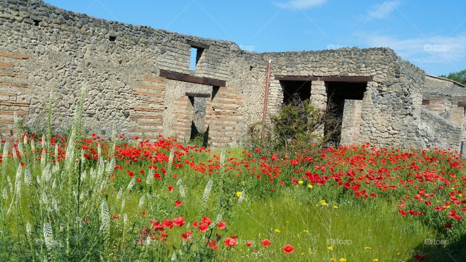 Pompeii