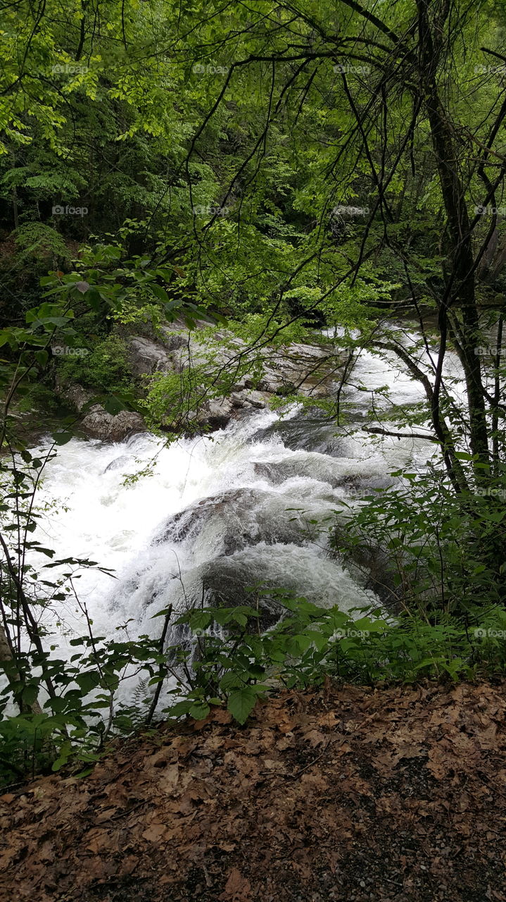 River Rapids on Virginia Creeper Trail, Damascus, Virginia