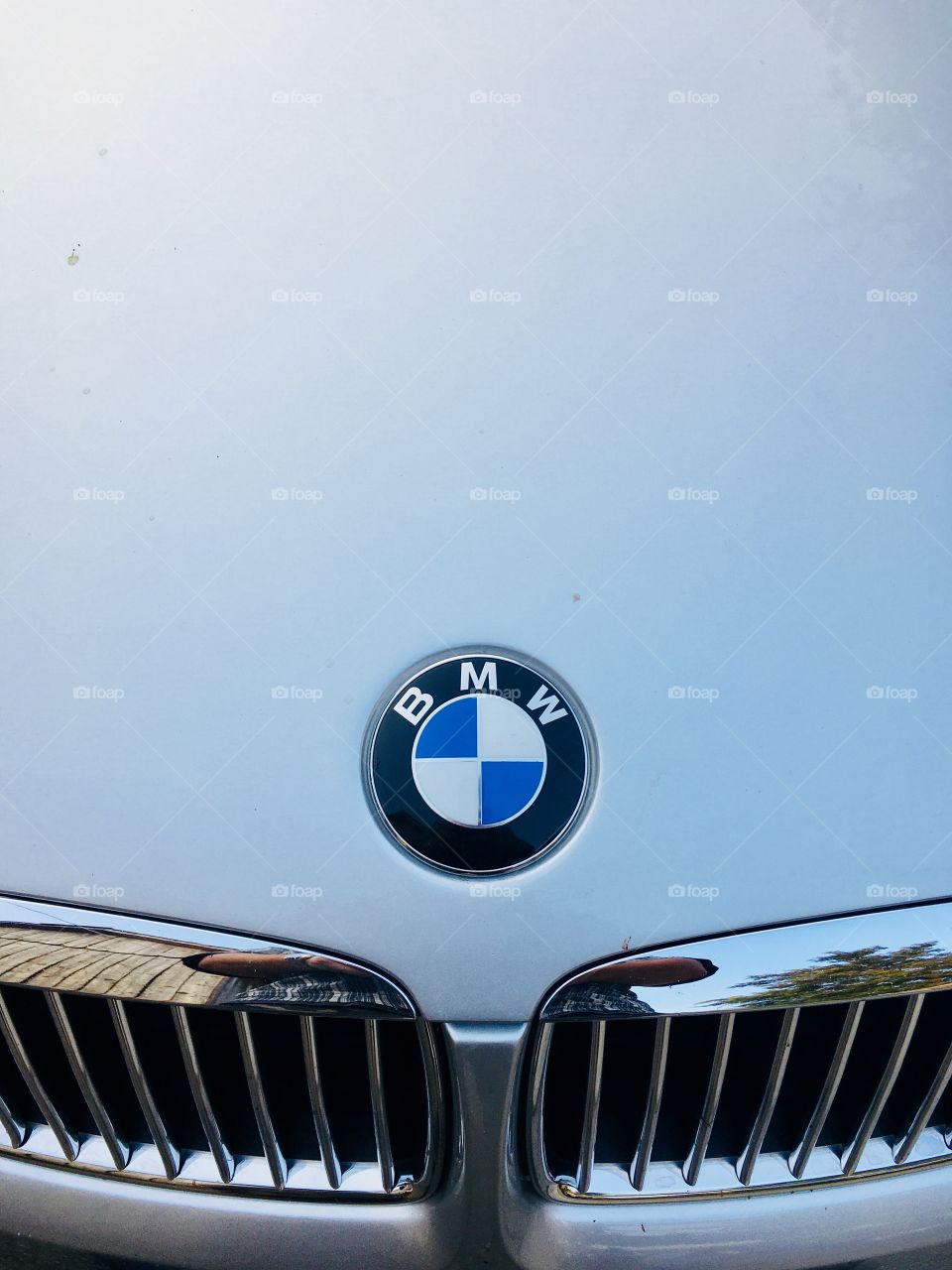 BMW logo