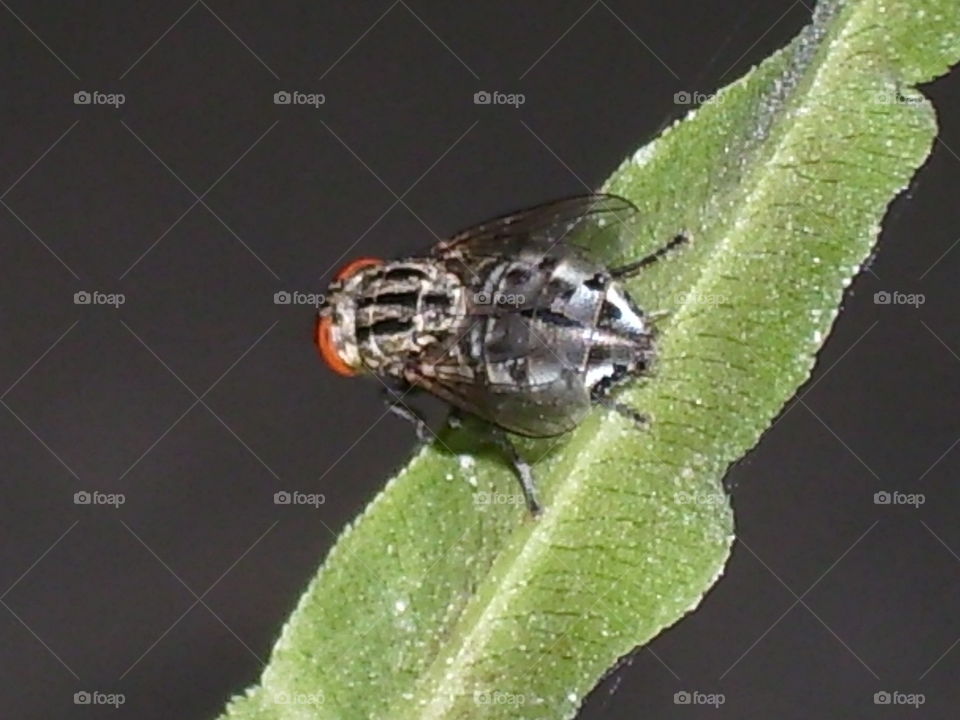 a better picture with a cheap camera