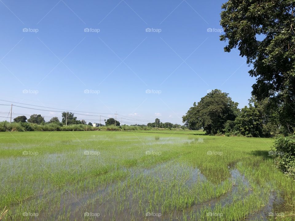 The signs of the cultivated, countryside 