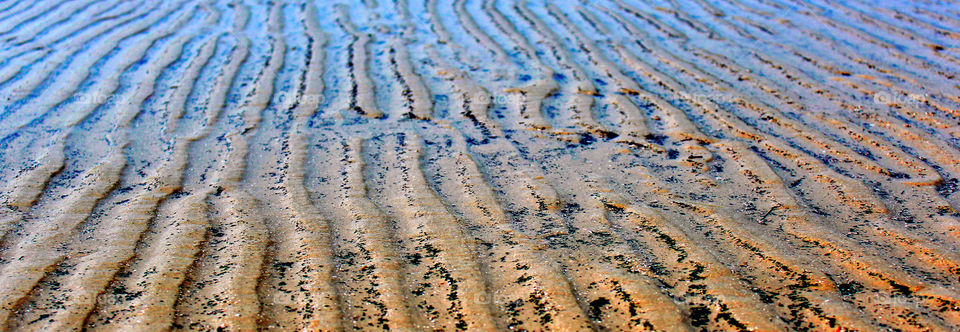 Beach Sand. A different kind of view