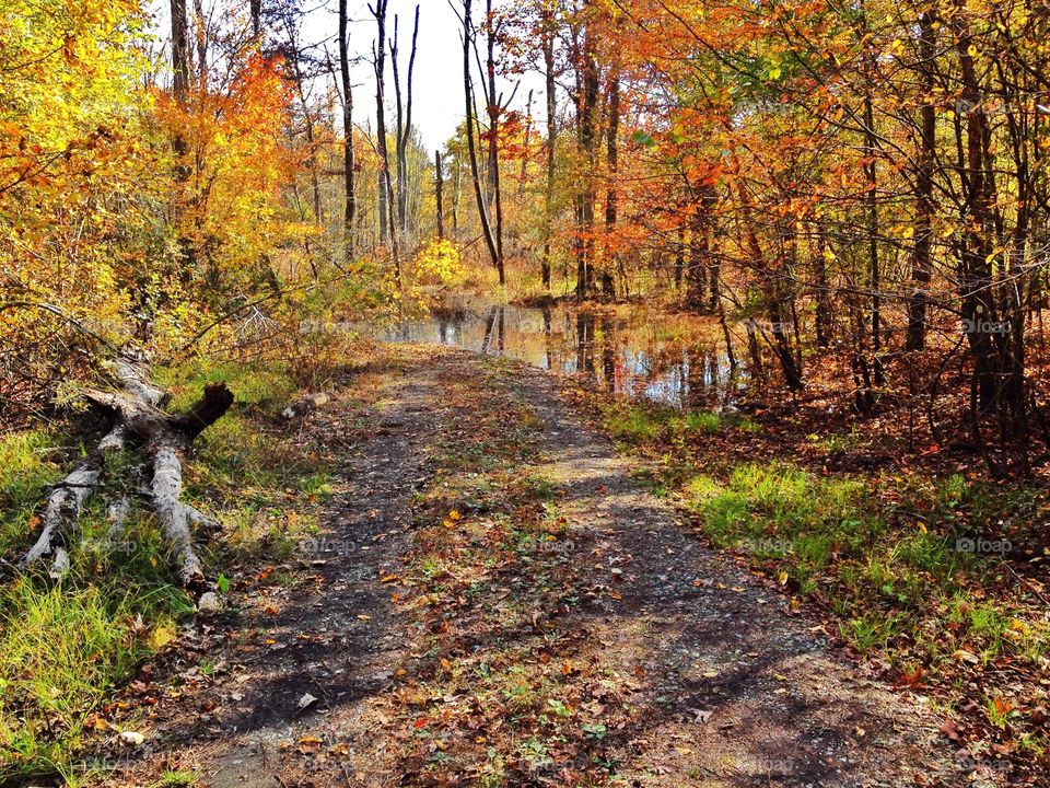 Beaver Creek Water Fowl Impoundment, NC