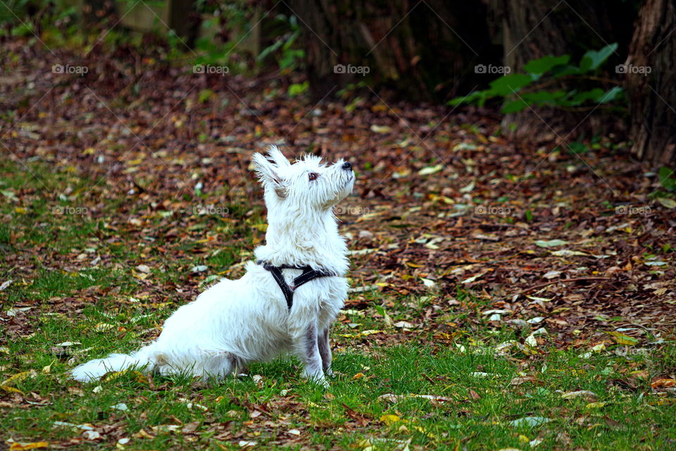 t'm going to get you,  i'm patient