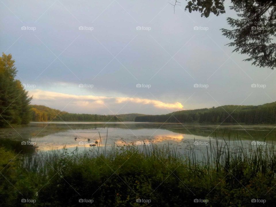 Evening by the lake
