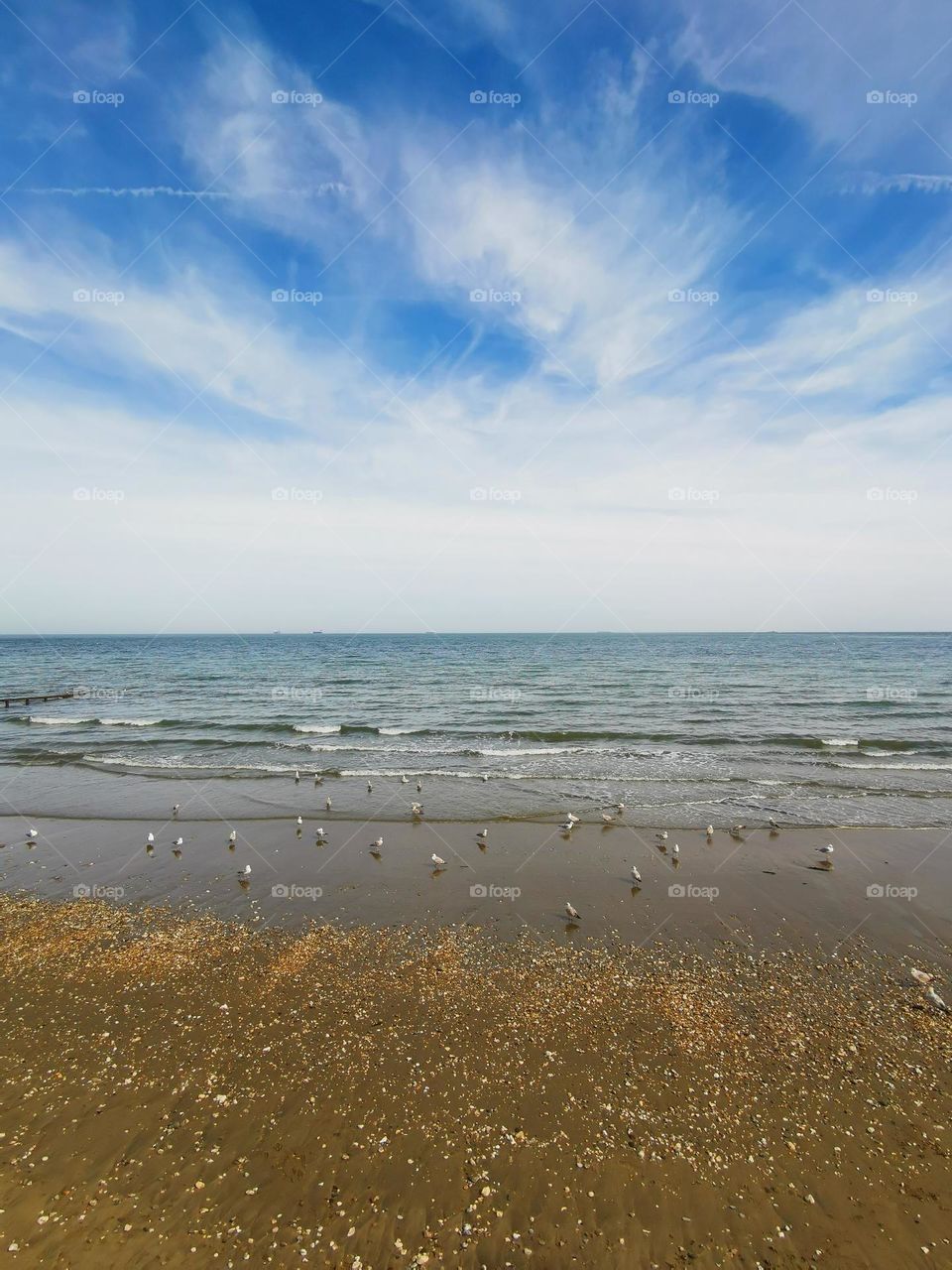 Sunny spring day. Sea shore. Seagulls on the shore, beautiful weather, beautiful landscape. Blue sky, blue sea and white seagulls on the sand.